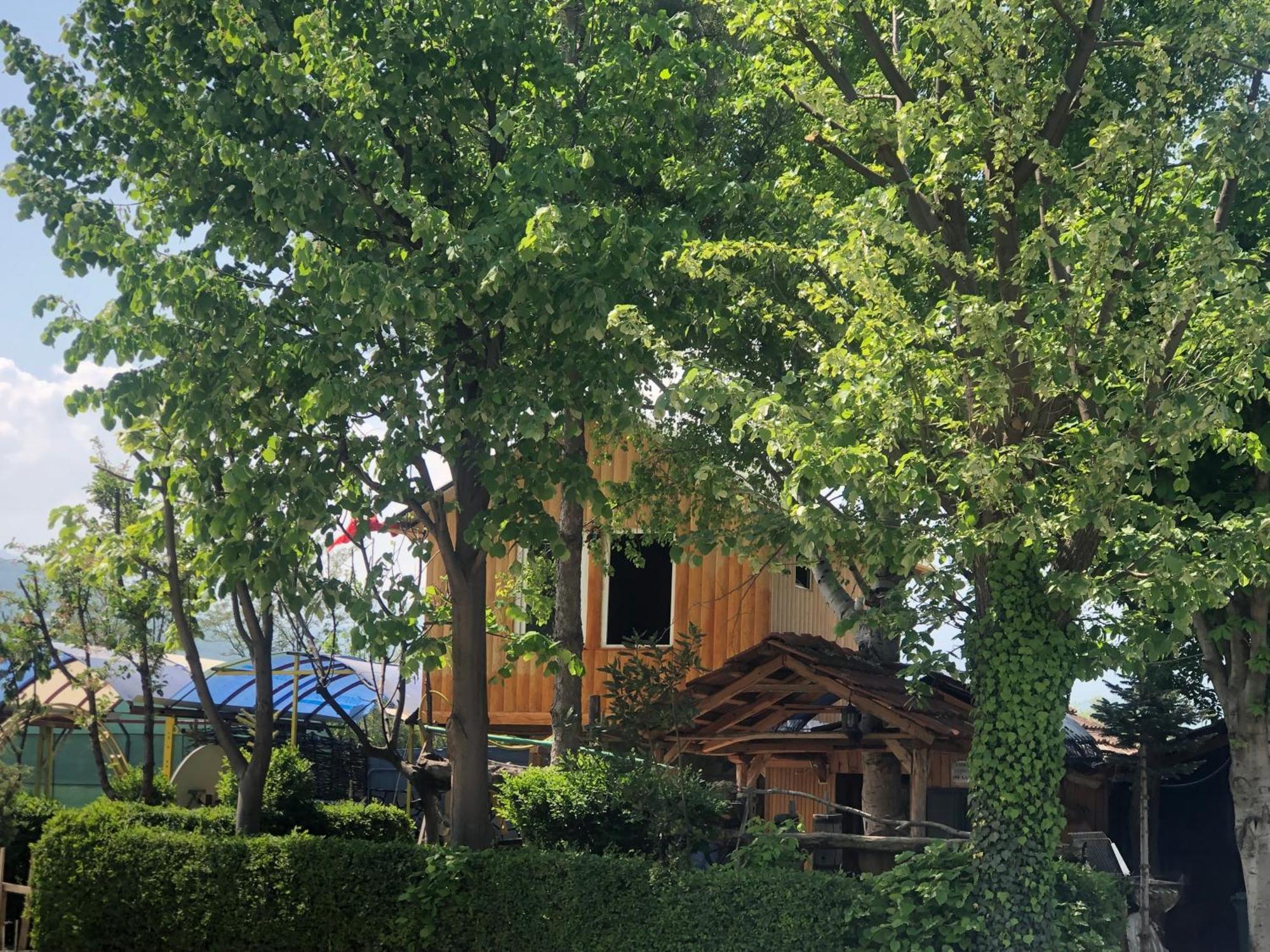 Bujtina Gashi Guest House Kukes Exteriör bild