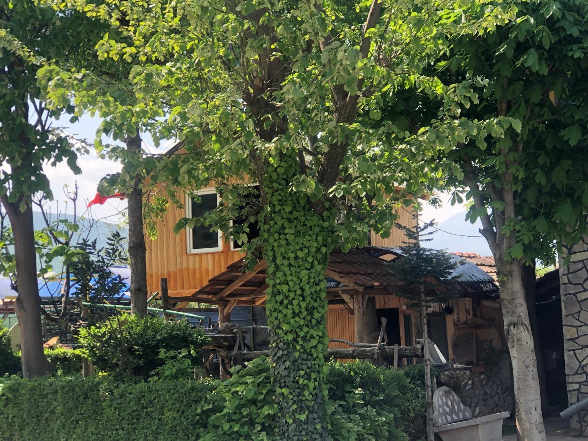 Bujtina Gashi Guest House Kukes Exteriör bild