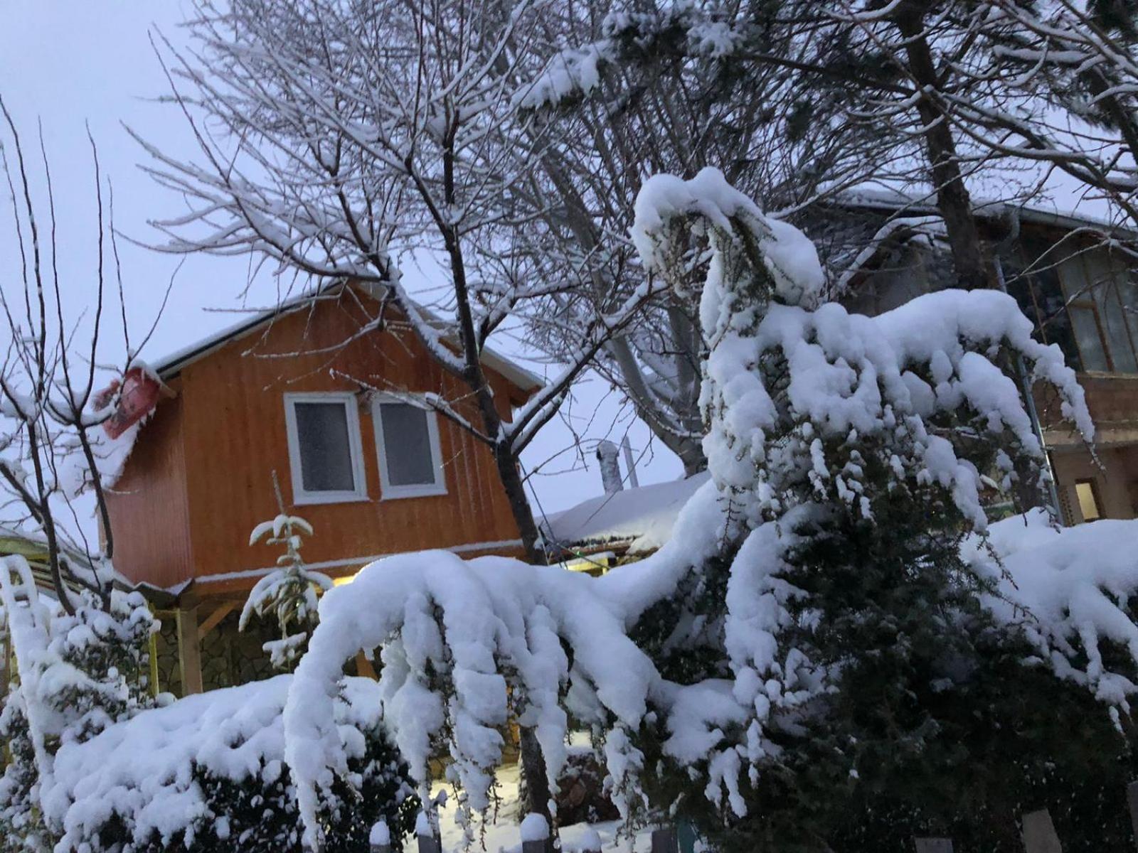 Bujtina Gashi Guest House Kukes Exteriör bild